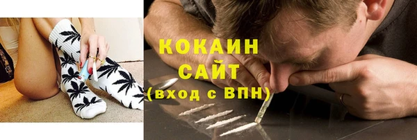 гидра Няндома