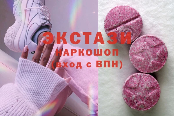 гидра Няндома