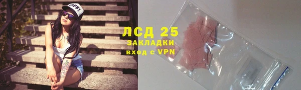 гидра Няндома