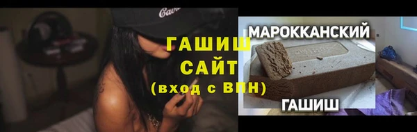 гидра Няндома
