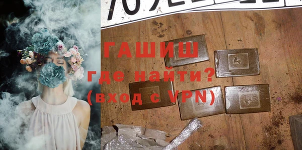 гидра Няндома