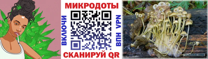 наркотики  Отрадное  Галлюциногенные грибы мухоморы 