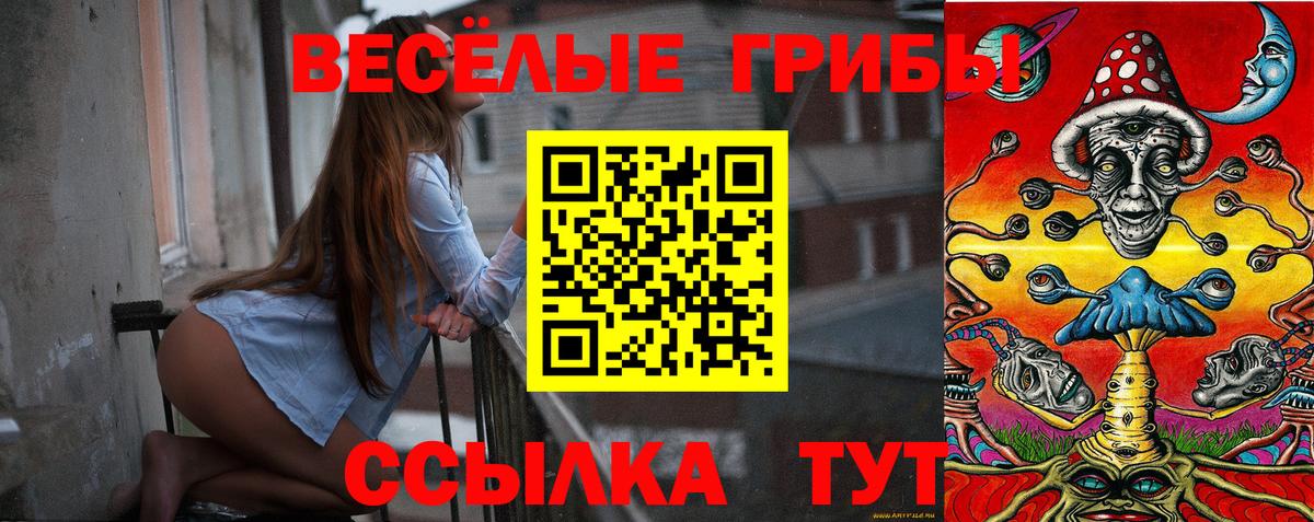 Галлюциногенные грибы MAGIC MUSHROOMS  Отрадное  Псилоцибиновые грибы MAGIC MUSHROOMS 